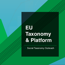 CE publica relatório com vista à simplificação da taxonomia
