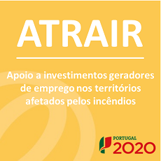 Apoio a empresas afetadas pelos incêndios supera expetativas