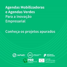 Agendas Mobilizadoras e Agendas Verdes | Conheça os projetos apurados para a fase seguinte