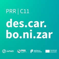 Descarbonização da Indústria | Candidaturas até 29 de julho