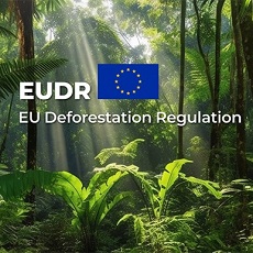 EU Deforestation Regulation | Adiada data de aplicação