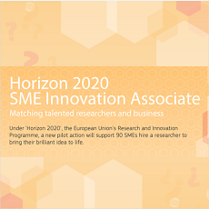 SME Innovation Associate | Candidaturas até 15 de janeiro