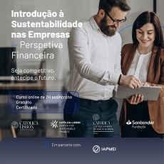 Introdução à Sustentabilidade nas Empresas - Perspetiva Financeira