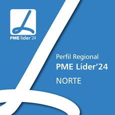 Perfil das PME Líder 2024