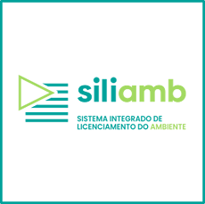 Alterações nas plataformas SILiamb_LUA/SIR