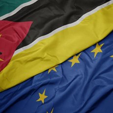 A sua empresa opera ou pretende fazer negócios em Moçambique?