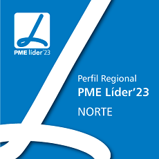 Conheça o perfil das PME Líder 2023 da região Norte