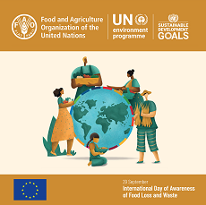 ONU assinala Dia Internacional de Sensibilização para as Perdas e Desperdícios Alimentares