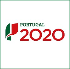 Avaliação do PT 2020 | Relatório síntese publicado