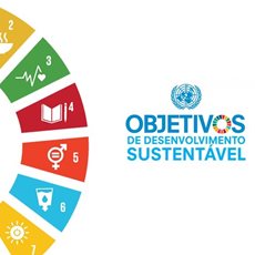 Observatório dos ODS nas empresas portuguesas