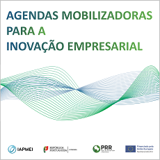 Agendas Mobilizadoras