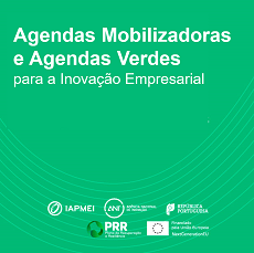 Agendas Mobilizadoras e Agendas Verdes para a Inovação Empresarial | Decisões disponíveis para consulta