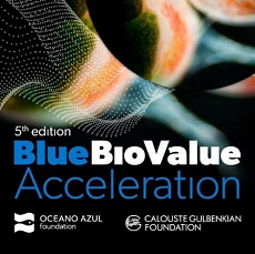 Blue Bio Value Acceleration | Candidaturas abertas