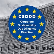Dever de diligência das empresas em matéria de sustentabilidade